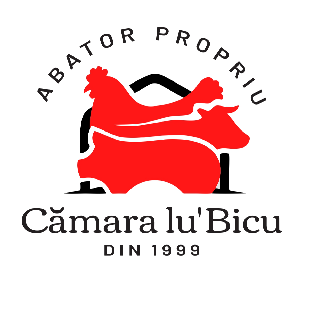 Camara lu` Bicu