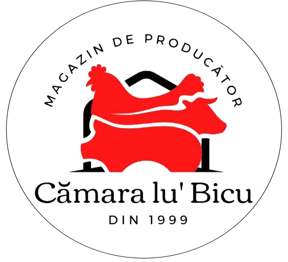 Camara lu` Bicu